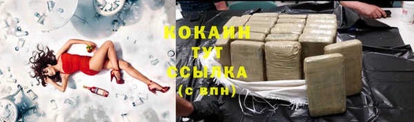 стаф Армянск