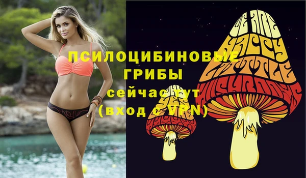 экстази Аркадак