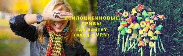 MESCALINE Арсеньев