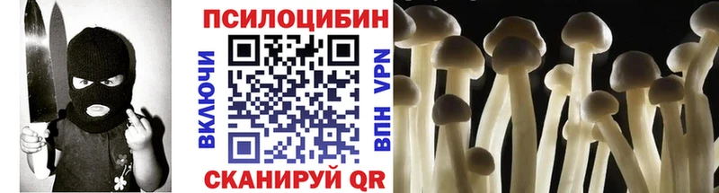 это Telegram  Сосногорск  Галлюциногенные грибы Psilocybine cubensis  как найти  